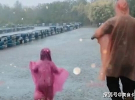 “佩奇版奶爸”带娃下雨天跳泥坑火了，爷爷奶奶还有3秒到达现场